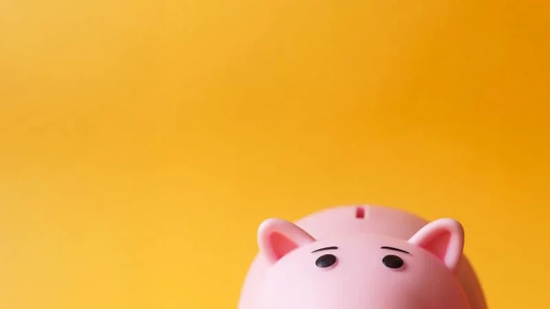 Piggy Bank TBT A half yellow pig on a pink background, representing how heirs access probate property funds quickly. Contact Kid Breukelen Realty Group for expert assistance.