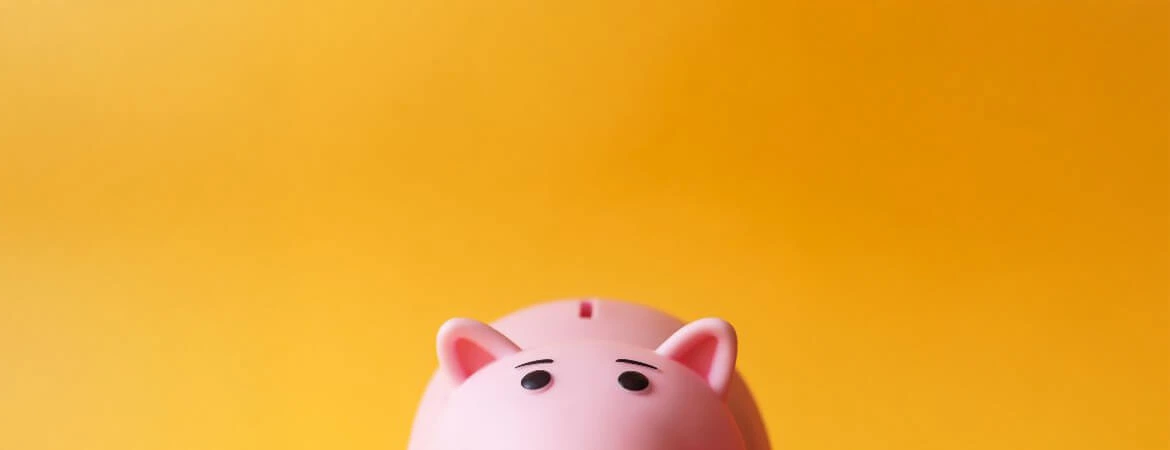 Piggy Bank DT A half yellow pig on a pink background, symbolizing the fast access heirs have to probate property funds. Reach out to Kid Breukelen Realty Group for professional help in navigating probate property.